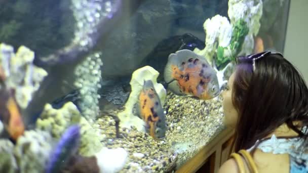 Mujer considera decoraciones de acuario y peces — Vídeo de stock