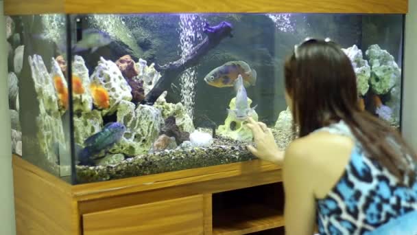 Meisje acht aquarium decoratie en vis — Stockvideo