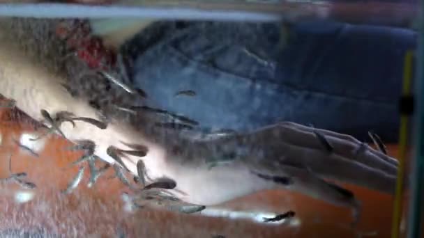 Pelar pescado mano femenina — Vídeos de Stock