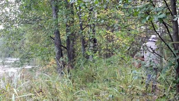 Orman mantar kadında — Stok video