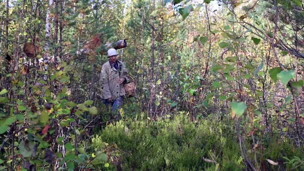 Mädchen mit Korb auf Pilzsuche im Wald — Stockvideo