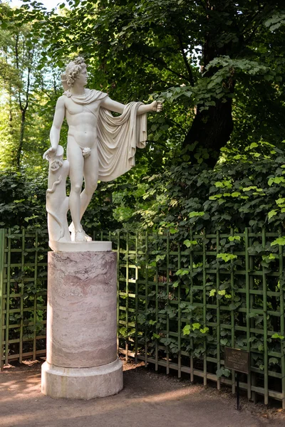 Saint petersburg, russland - 27. juli 2016: die statue apollo belvedere, kopie — Stockfoto