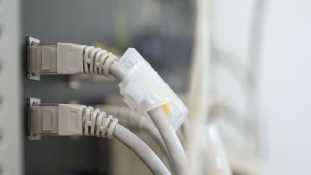 Cables y conexión de ordenador — Vídeo de stock