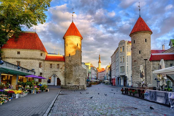 Viru Gate i gamla stan i Tallinn, Estland — Stockfoto