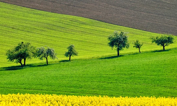 Paysage rural coloré en Bavière, Allemagne — Photo