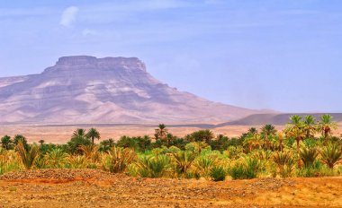 Dragan Valley, Fas oasis tarihi palms peyzaj