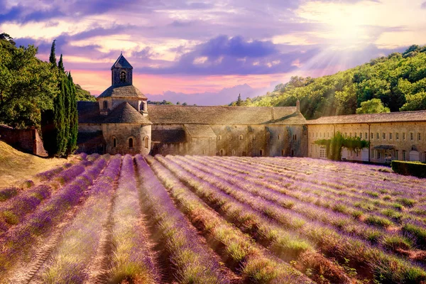Ladang Lavender di biara Senanque, Provence, Perancis — Stok Foto