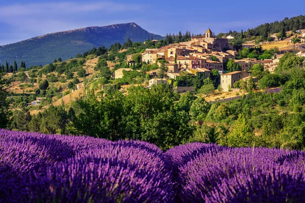 Aurel velden van de stad en lavendel in de Provence, Frankrijk — Stockfoto