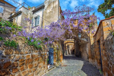 Çiçekleri açan tarihi cadde, Orvieto, İtalya