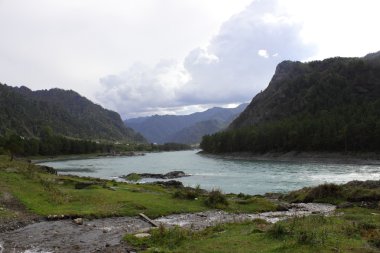  Dağ nehir, Altay