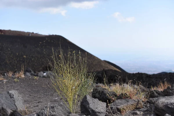 Uma vista impressionante do Etna - o vulcão ativo mais alto da Europa. Situado na Sicília — Fotografia de Stock