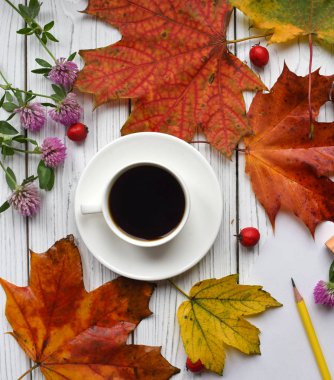 Bir fincan kahve, renkli yaprakları ve iyi bilenmiş bir kalem ile açık bir dizüstü bilgisayar ile bir fotoğraf