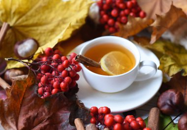 Bir fincan çay, renkli yaprakları, kül çilek, kestane, sıcak bir eşarp ve tarçın ile rahat bir fotoğraf 