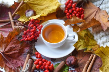 Bir fincan çay, renkli yaprakları, kül çilek, kestane, sıcak bir eşarp ve tarçın ile rahat bir fotoğraf 