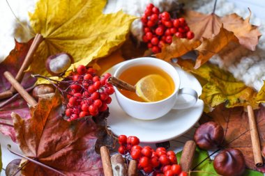 Bir fincan çay, renkli yaprakları, kül çilek, kestane, sıcak bir eşarp ve tarçın ile rahat bir fotoğraf 