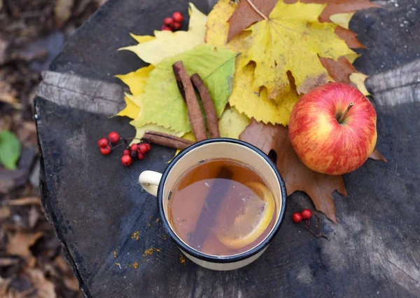 Una foto al aire libre brillante con una taza esmaltada de té caliente, hojas de otoño, una manzana roja y palitos de canela en un tocón de árbol —  Fotos de Stock