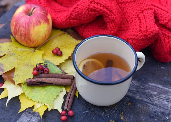 Una foto all'aperto con una tazza di tè caldo, foglie autunnali, una sciarpa rossa lavorata a maglia, una mela e bastoncini di cannella su un ceppo d'albero — Foto Stock