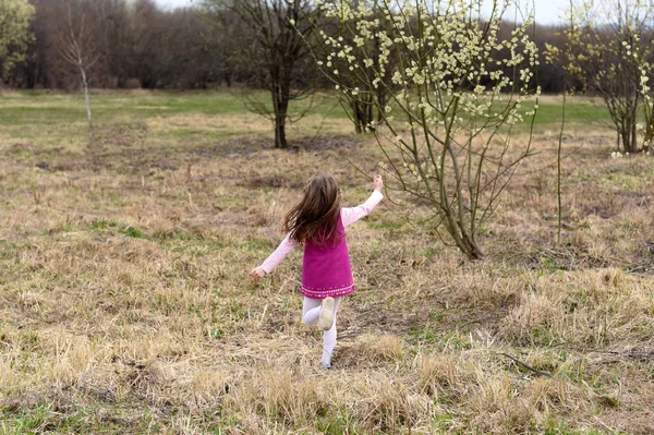 Ein Foto Das Einen Frühling Oder Und Freiheitsbegriff Darstellt Ein — Stockfoto