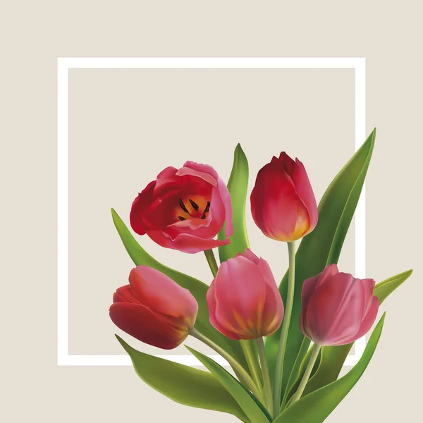 Bouguet de tulipanes — Vector de stock