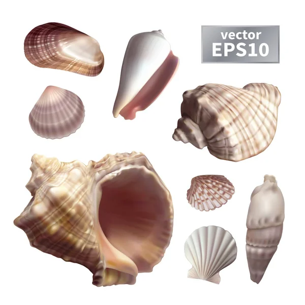 Calcium Carbonate Vector Art Stock Images Depositphotos