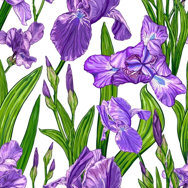 Modèle sans couture avec des fleurs d'iris — Image vectorielle