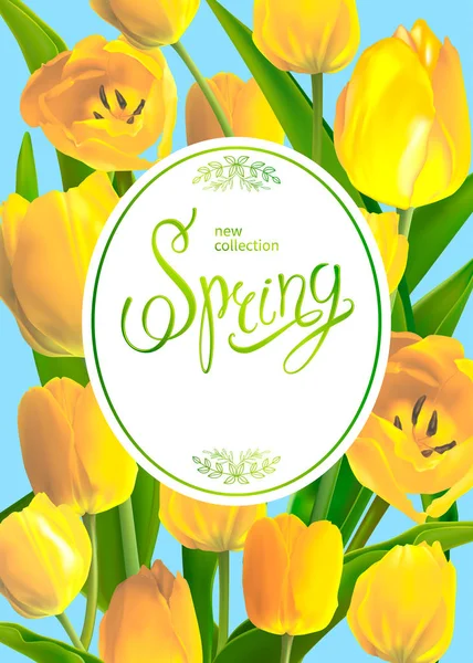 Ramo de primavera de tulipanes — Vector de stock