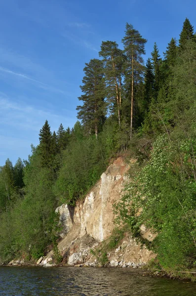 Fiume roccioso è coperto di foresta . — Foto Stock