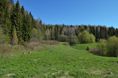 Yaz güzel doğal sahne.