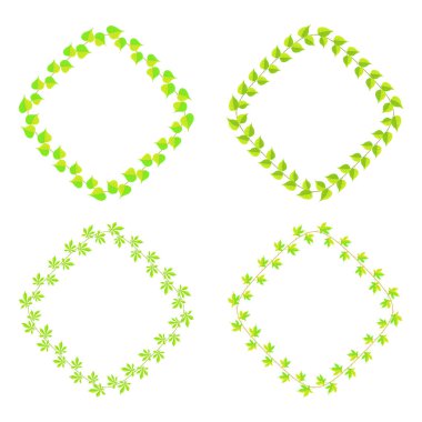 farklı tür çerçeve yeşil yaprakları