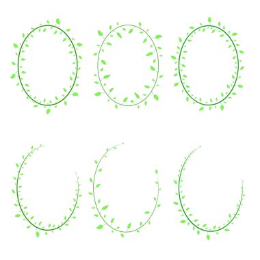 farklı tür çerçeve yeşil yaprakları