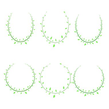 farklı tür çerçeve yeşil yaprakları