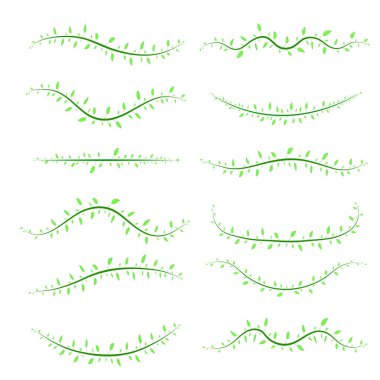 Beyaz arka planda izole farklı dalları
