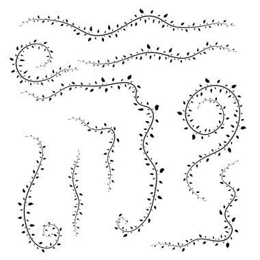 Beyaz arka planda izole farklı dalları