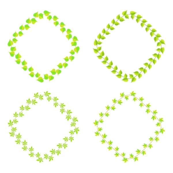 farklı tür çerçeve yeşil yaprakları