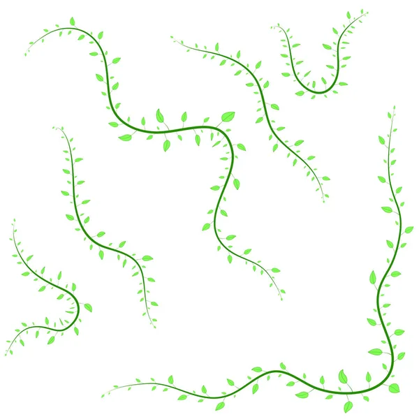 Différentes branches isolées en fond blanc — Image vectorielle