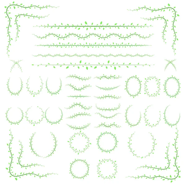 Beyaz arka planda izole farklı dalları
