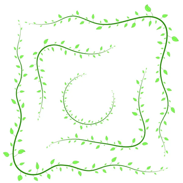 Différentes branches isolées en fond blanc — Image vectorielle