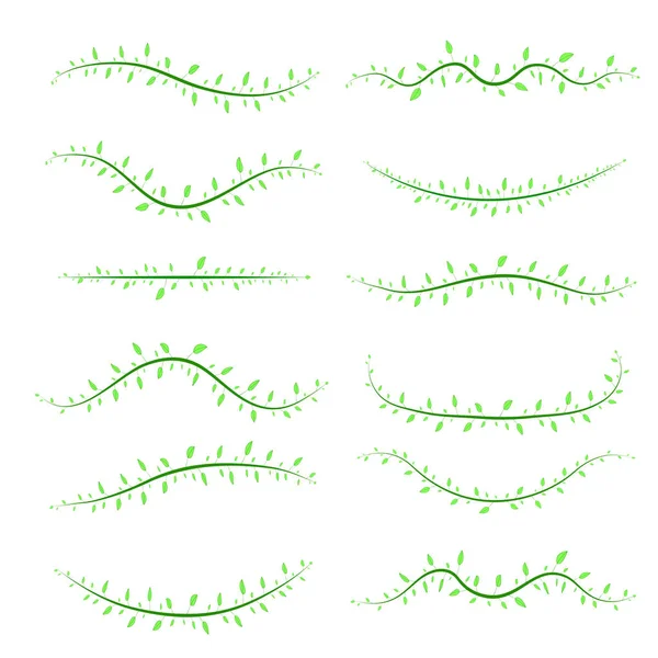 Beyaz arka planda izole farklı dalları