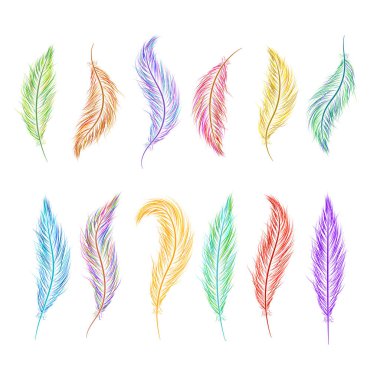 tüyler el boyaması farklı renklerde kümesi