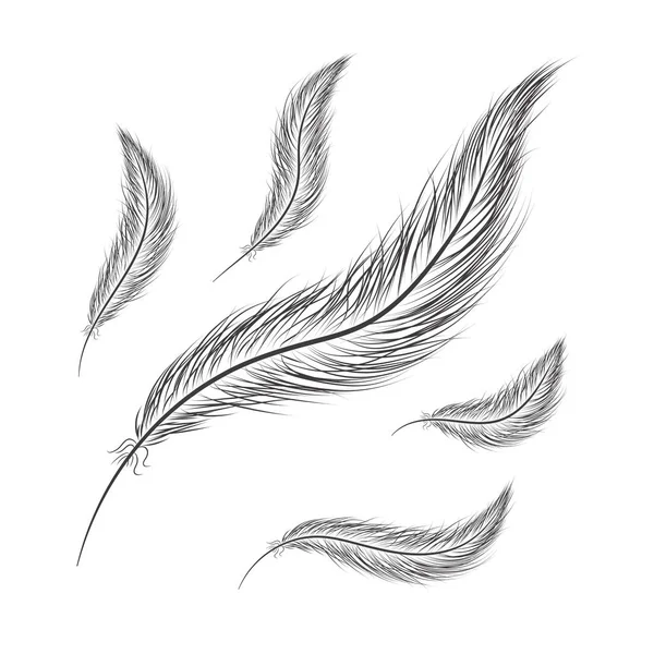 Ensemble de plumes dessinées à la main sur un fond blanc — Image vectorielle