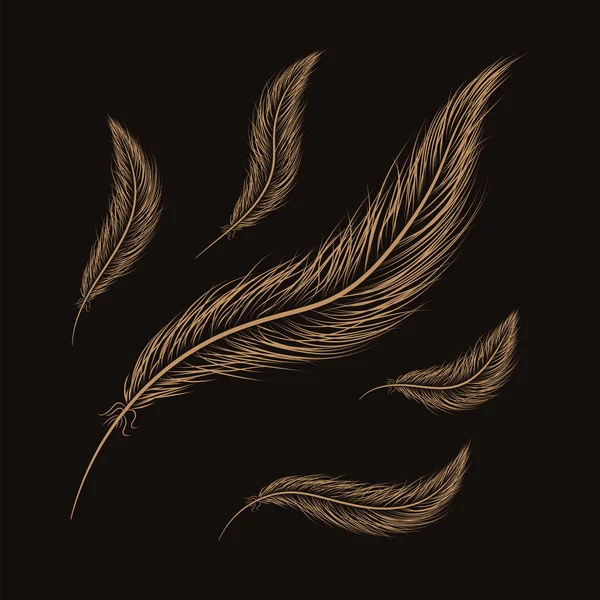Federn sind handgezeichnet auf schwarzem Hintergrund — Stockvektor