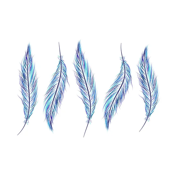 Ensemble de plumes dessinées à la main sur un fond blanc — Image vectorielle