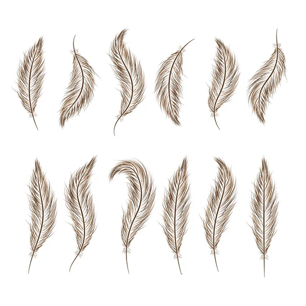 Набор перьев нарисованы вручную на белом фоне — стоковый вектор