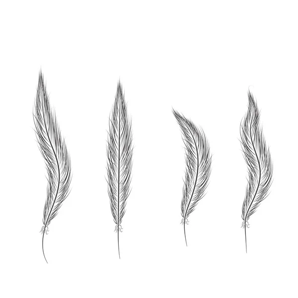 Набор перьев нарисованы вручную на белом фоне — стоковый вектор