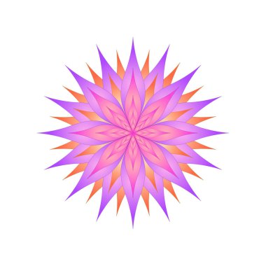 izole beyaz bir arka plan üzerinde parlak çiçek