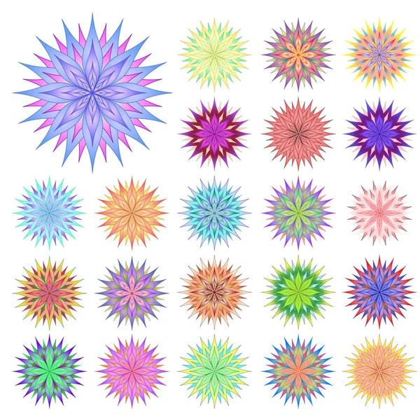 izole beyaz bir arka plan üzerinde renkli çiçekler kümesi