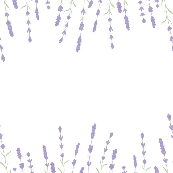 Vector fronterizo de la tarjeta de lavanda. Etiqueta Vintage con fragancia a lavanda. Bandera botánica detallada de cosmética orgánica, medicina, tienda de belleza, perfume. marco de lavanda y texto. su presentación de texto . — Vector de stock