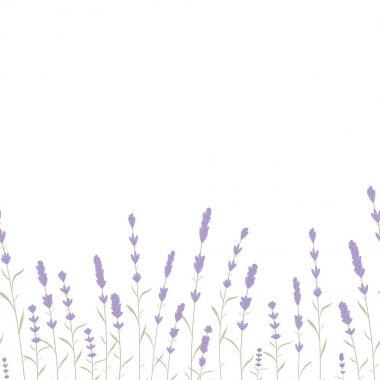 Lavanta kart sınır vektör. Lavanta kokusu Vintage etiketle. Organik Kozmetik, parfüm tıp, güzellik mağaza botanik bayrağı ayrıntılı. Lavanta çerçeve ve metin. metin sunu.