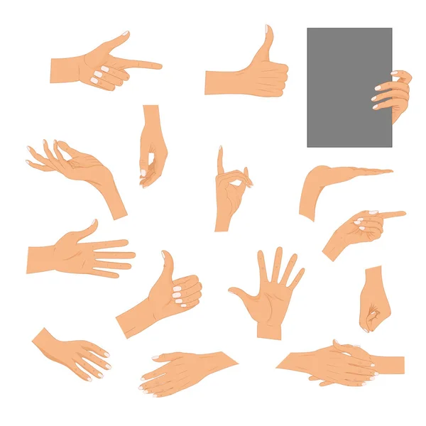 Handen in verschillende gebaren geïsoleerd op een witte achtergrond instellen Gekleurde handgebaar set met gemanicuurde nagels en goede huid vectorillustratie. Collectie emoties, tekenen. Holding hands. — Stockvector