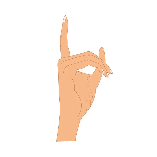 Mano con el dedo que apunta, dedos que señalan, manos dibujadas a mano aisladas sobre fondo blanco. Ilustración vectorial — Vector de stock